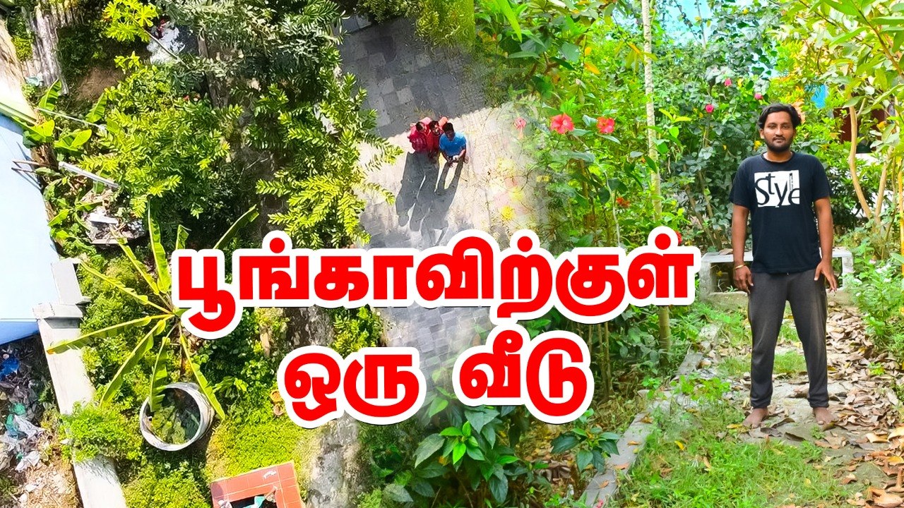 மழைநீர் சேகரிப்புடன் பூங்காவிற்குள் ஒரு வீடு -  House within the park