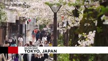 Ιαπωνία: Μαγικό τοπίο με τις ανθισμένες κερασιές