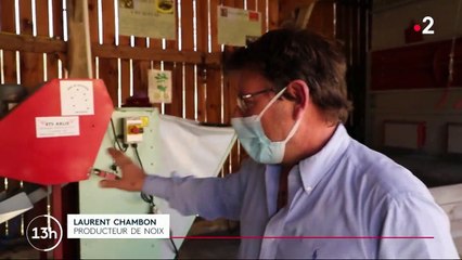 L’huile de noix : une tradition ancestrale perpétuée dans le Périgord