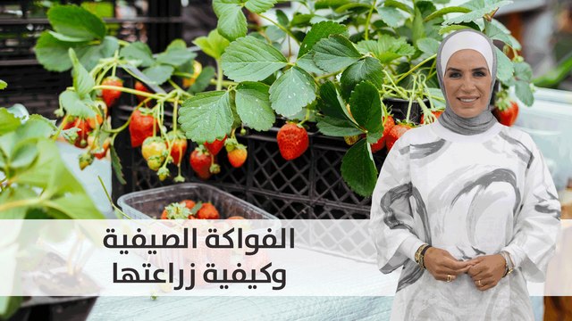 الفواكة الصيفية وكيفية زراعتها