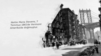 Nettie Maria Stevens Kimdir?