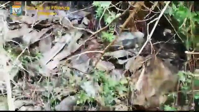 Mongiuffi Melia (ME) - Scarichi illegali nel fiume, sequestrato depuratore (30.03.21)