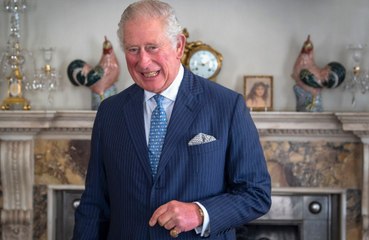 Alan Titchmarsh feels sorry for Prince Charles