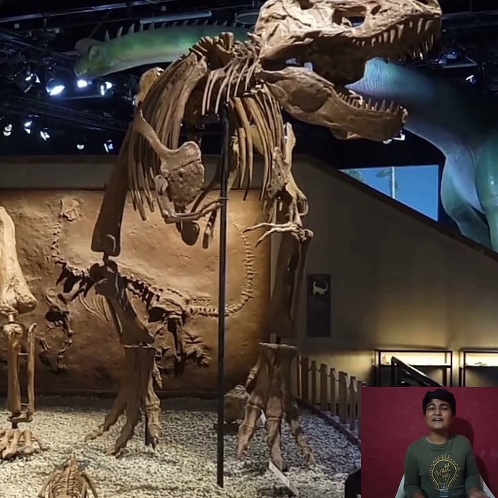 Dinosaurs जिंदा क्यों नहीं है? How did dinosaurs die? video Dailymotion