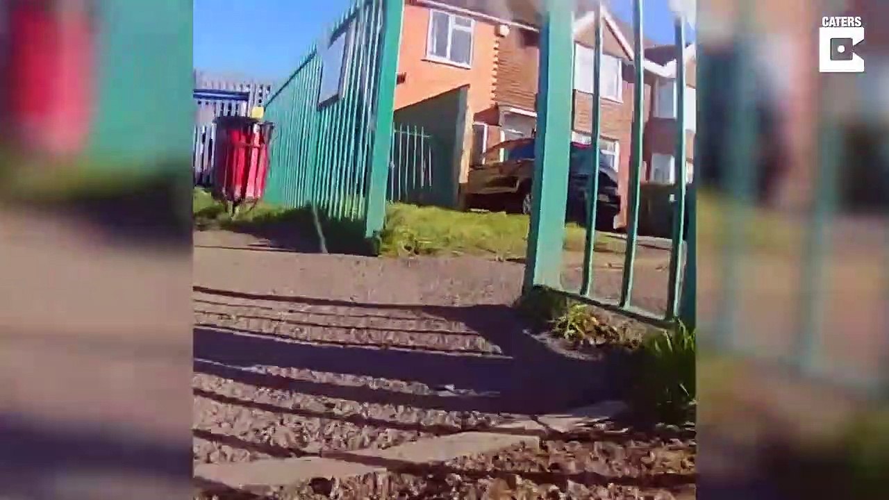 Un chat vient voler le dentier d'un papy