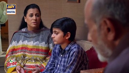 Aulaad Episode 17 ARY Digital Drama 30th March 2021