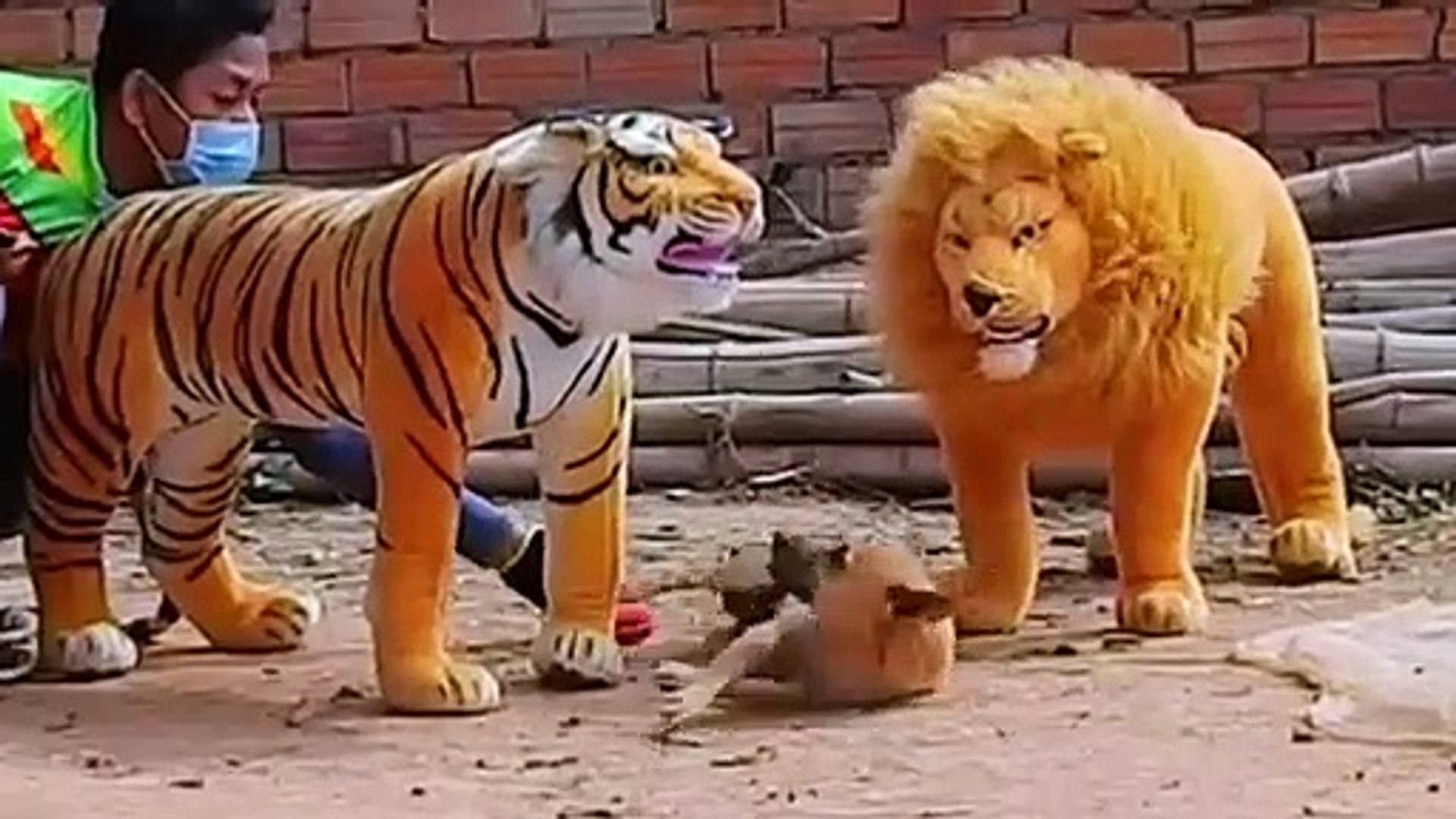 ⁣Funny Videos Animals 2021 ll Cute Pets Animals Funny Compilations ll 2021 funny videos