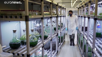 Η θάλασσα προσφέρει λύσεις για την ανθρώπινη υγεία