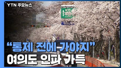 "통제 전에 가야지"...벚꽃 핀 여의도에 인파 '가득' / YTN