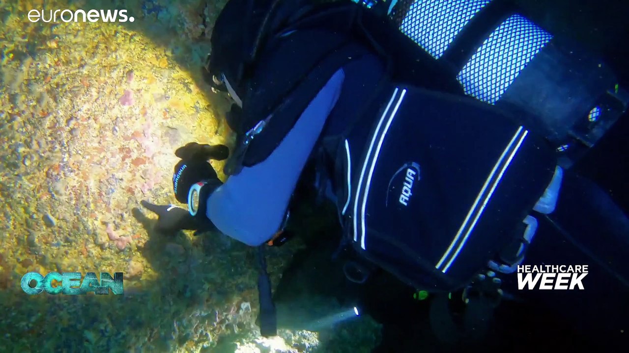 Les océans peuvent nous aider à lutter contre quelques-unes des pires menaces pour notre santé