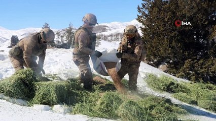Tunceli’de yaban hayvanlarına helikopterle yem desteği