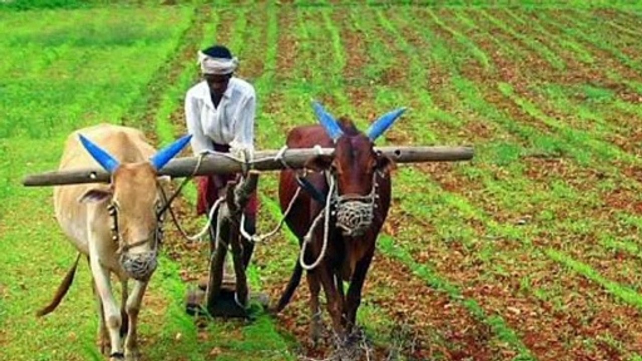 Farmer