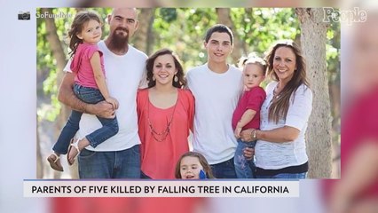 Parents of 5 Killed When Giant Redwood Tree Falls on Their Car During Birthday Road Trip