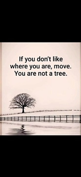 | Worth Watching | Move, You Are Not A Tree |