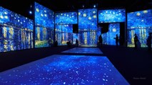 Immersive Vincent van Gogh Exhibition Coming to the Biltmore