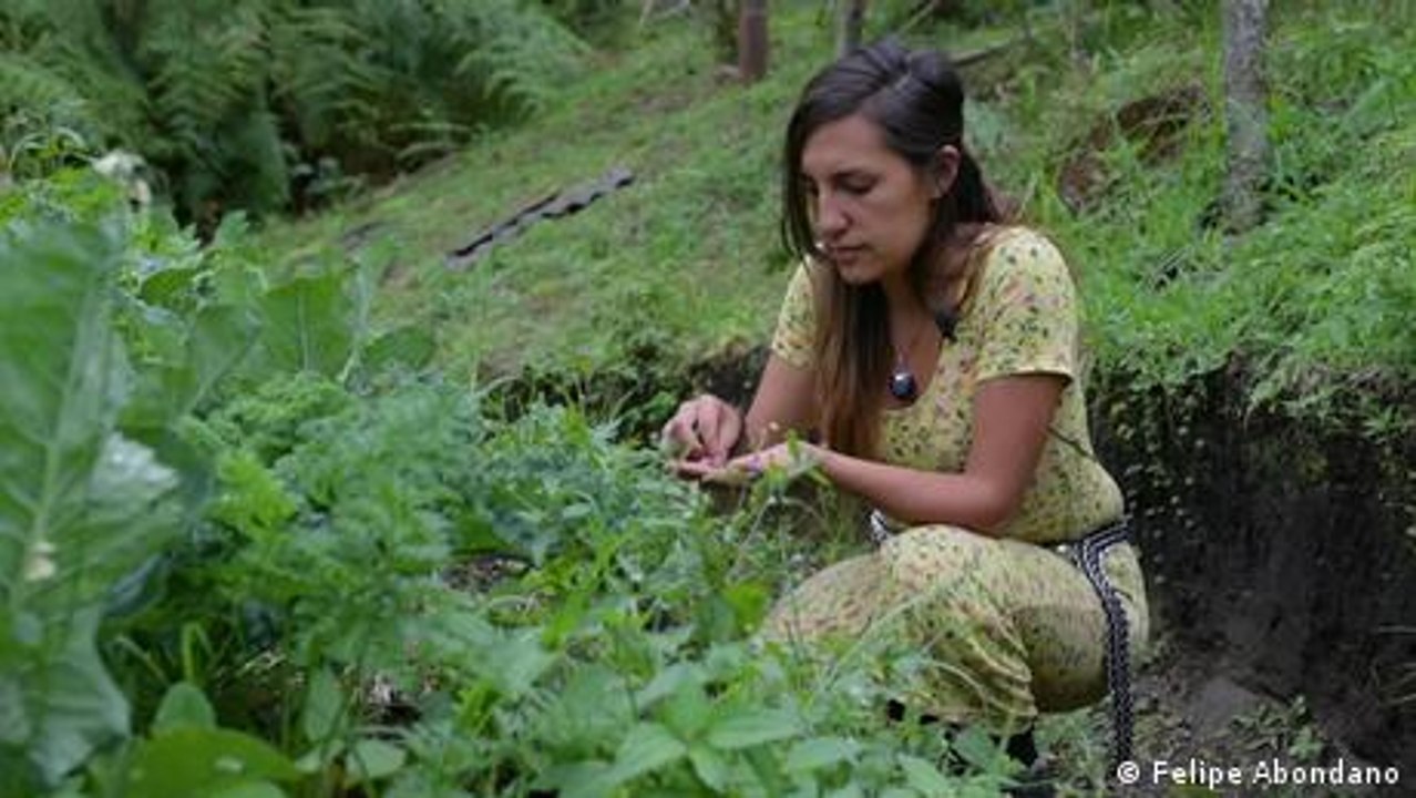 Chagras: las huertas circulares de Putumayo