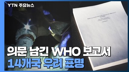 의문 남긴 WHO 코로나 보고서...14개국 우려 표명 / YTN