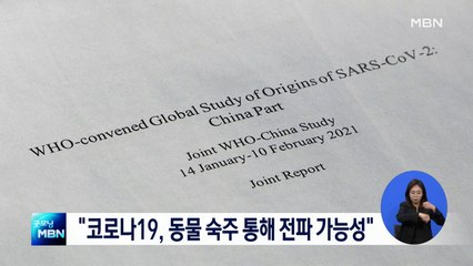WHO, 코로나19 기원 보고서 발표…"동물 숙주 통해 전파 가능성"