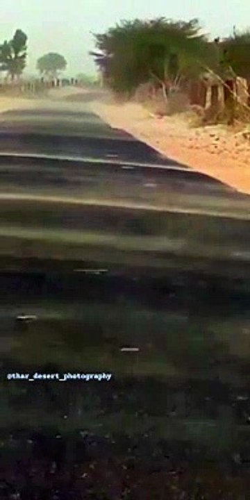 Rajasthan  ki hawa