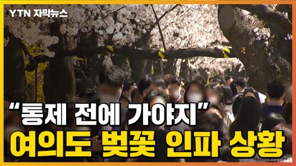 [자막뉴스] "통제 전에 가야지"...여의도 벚꽃 인파 상황  / YTN