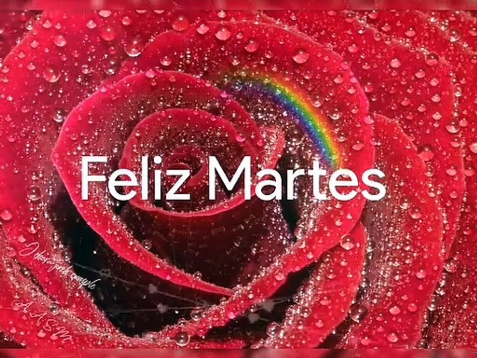 Feliz Martes 