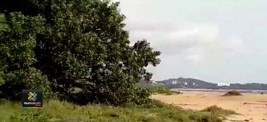 tn7-Alertan-sobre-afectaciones-por-contacto-con 'árbol-de-la-muerte'-en-las-playas-300321