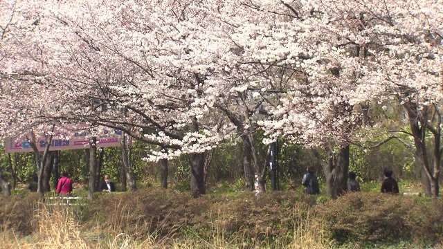 [날씨] 내륙 맑고 공기 깨끗...올봄 들어 가장 따뜻 / YTN