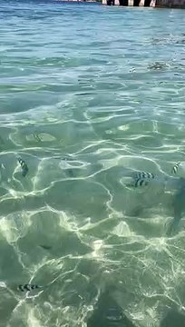 Fishes in Camayan Beach Resort