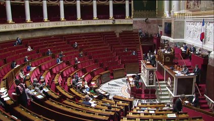 1ère séance : Lutte contre le dérèglement climatique  - Lundi 29 mars 2021