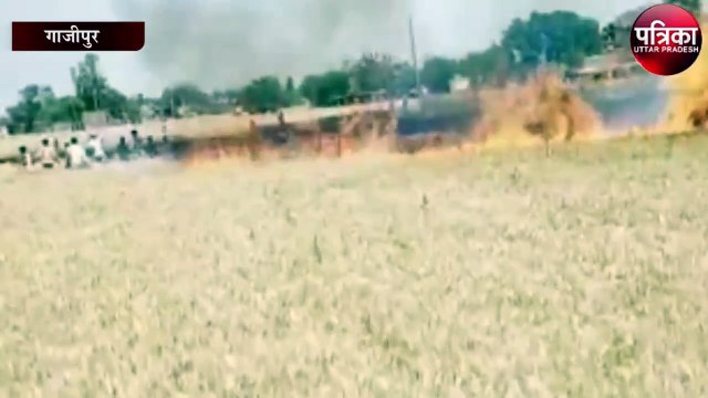 6 बीघा गेंहूँ की खड़ी फसल जलकर राख