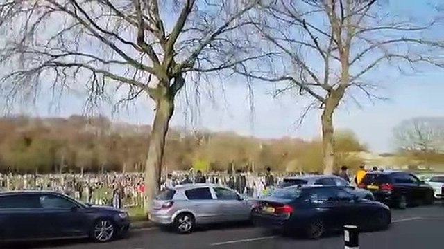 Huge crowds gather in Endcliffe Park in Sheffield