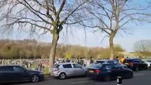 Huge crowds gather in Endcliffe Park in Sheffield