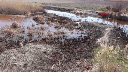 BURDUR Soğanlı sazlığı yakıldı
