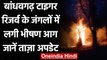 MP के Bandhavgarh Tiger Reserve Park के जंगलों में लगी भीषण आग, देखिए आग का तांडव | वनइंडिया हिंदी