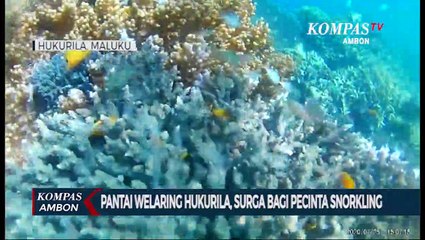 Pantai Welaring Hukurila, Surga Bagi Pecinta Snorkling