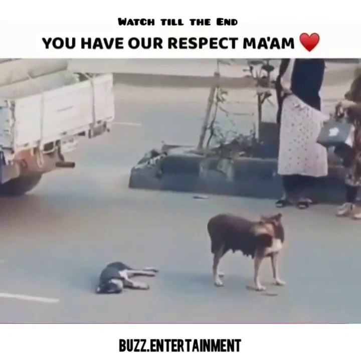 THE MOST SATISFYING VIDEO IN THE WORLD  Buzz.Entertainment