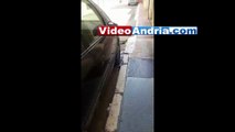 Andria: sulle tracce di colui che abbandona abitualmente le feci canine in via Pisani - Video