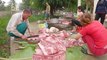 Làm Thịt Con Lợn Bò Một Năm Tuổi - Gía Lợn Hơi 85