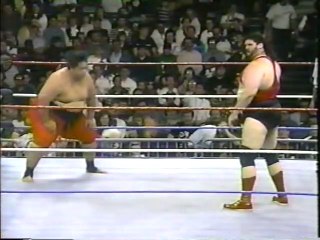 Yokozuna vs. Typhoon [1993-04-18]
