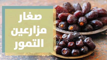 حملة تطوعية لمساندة صغار مزارعين التمور