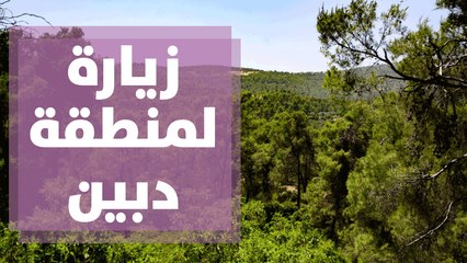 زيارة لمنطقة دبين والتعرف على النباتات التي بها
