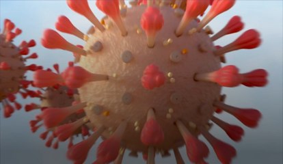 Coronavirus : les mesures actuellement en vigueur en Belgique