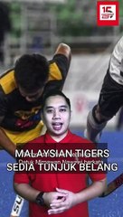 Malaysian Tigers sedia tunjuk belang