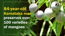 84-year-old Karnataka man preserves over 100 varieties of mangoes