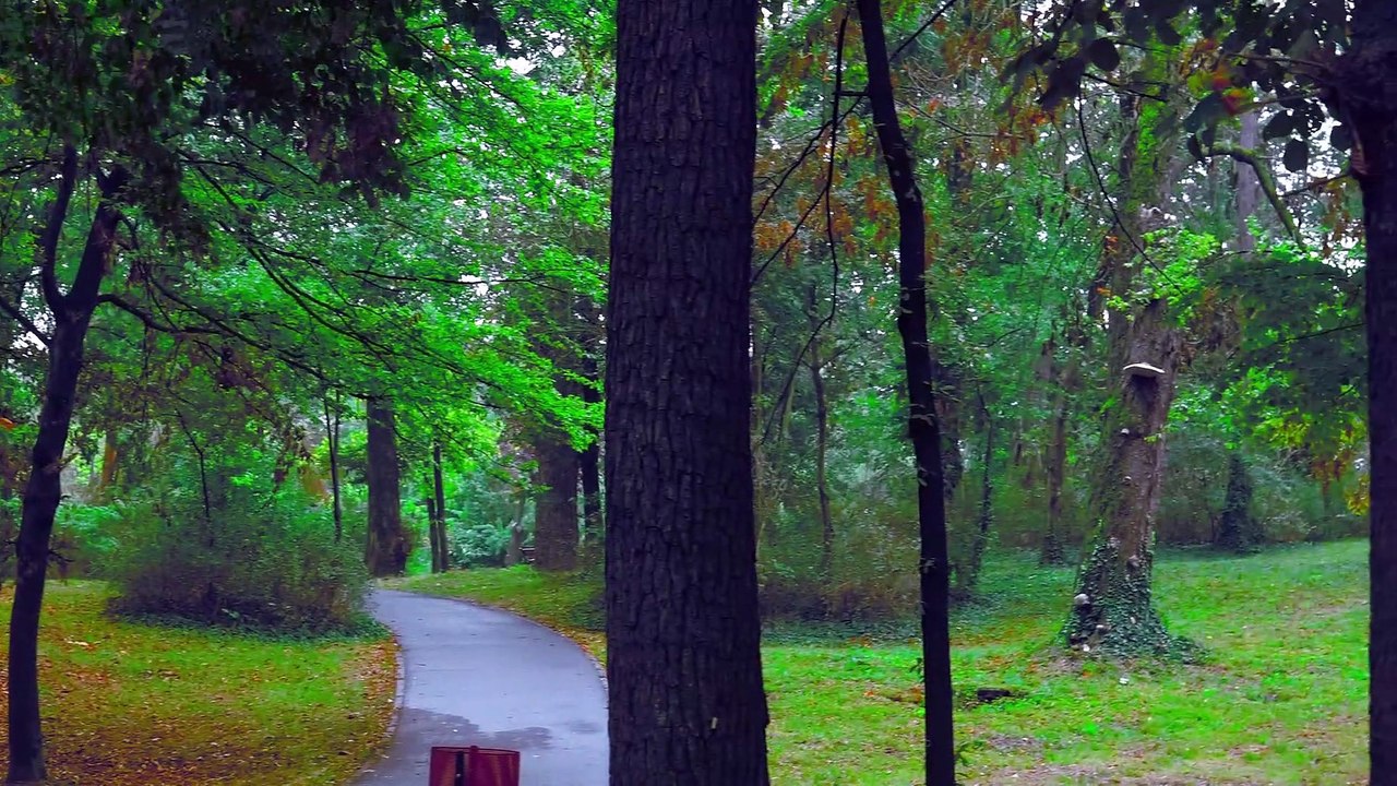 Beautiful Nature With Ambient Relaxing Calm Music for Deep sleep