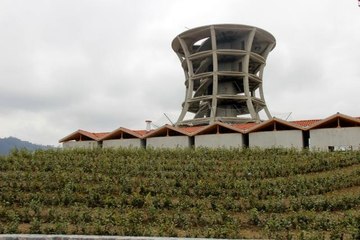 Rize'nin devasa 'Çay bardağı' Guinness'e aday