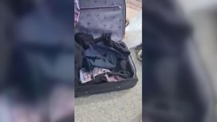 156 tüp kobra zehri ele geçirildi