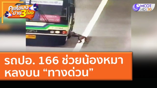 คนขับ - กระเป๋า ปอ.166 ช่วยน้องหมา หลงบน ทางด่วน (31 มี.ค. 64) คุยโขมงบ่าย 3 โมง