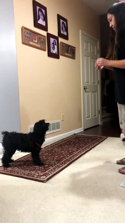 Kona got some instructions