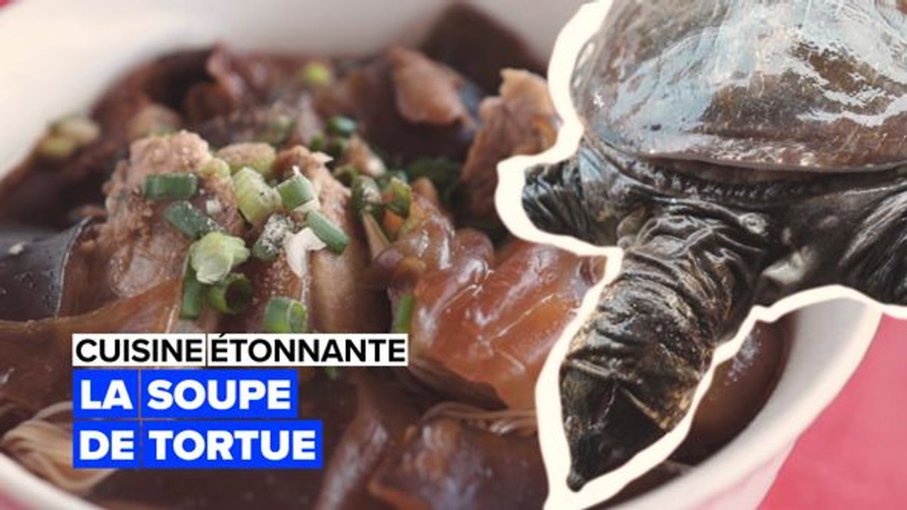 Cuisine étonnante : la soupe de tortues